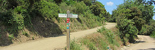 Parc de Collserola