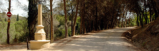 Serralada de Marina Park