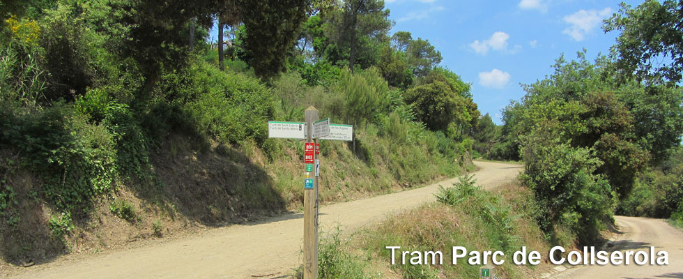 Parc de collserola