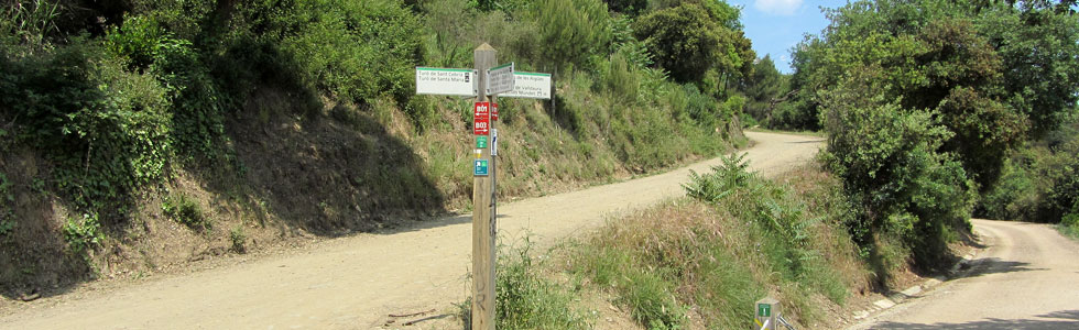 Parque de Collserola