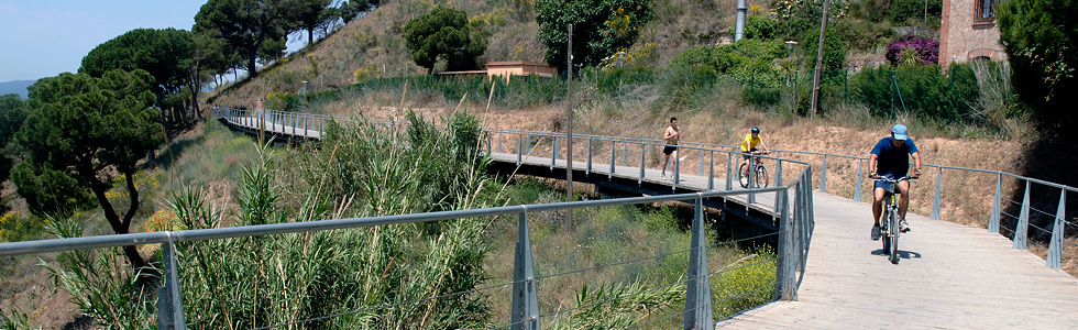 Collserola Park