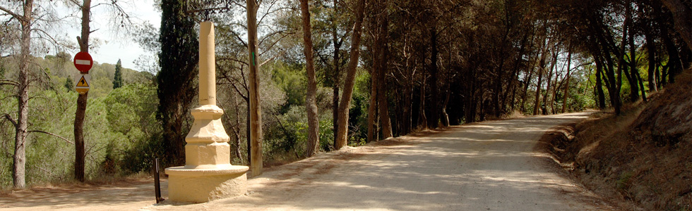 Parc de la Serralada de Marina